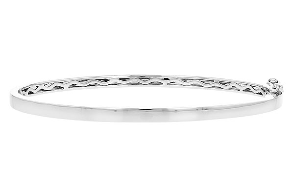 H290-99470: BANGLE (D207-32225 W/ CHANNEL FILLED IN & NO DIA)